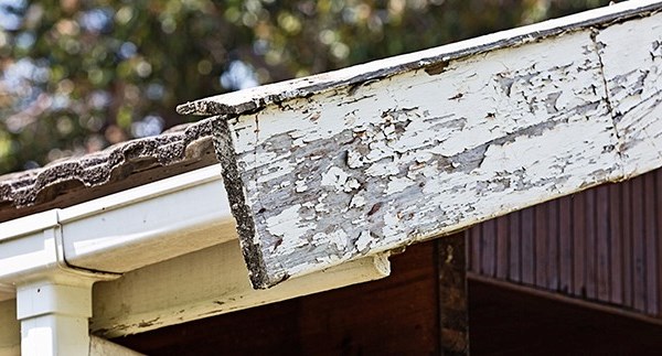 roof repair for rotting fascia in columbus