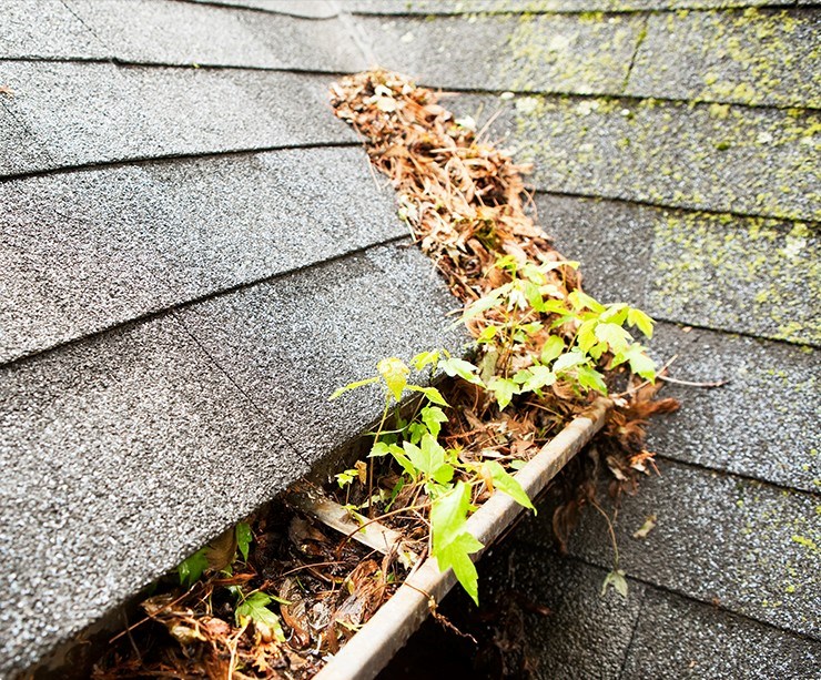 emergency roof repair for fallen branches in columbus oh
