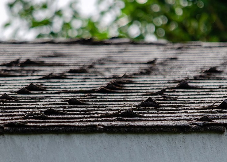 Damaged shingles
