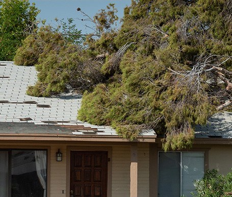 Tree touching roof